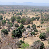 West Africa Semester: Rhythms of Senegal